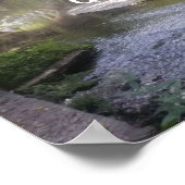 Proverbe rapidement venir rapidement aller poster (Coin)