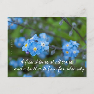 Proverbes 17:17 Carte postale Oubliez-Moi-Pas