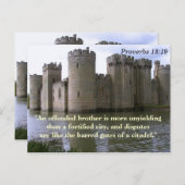 Proverbes 18 19 Frère offensé Carte de verset bibl (Devant / Derrière)