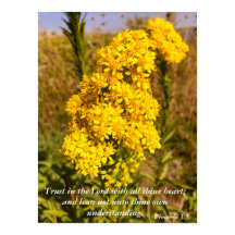 Proverbes 3:5 poster vers de la Bible