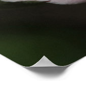 Proverbios 31:30 Kartel Poster (Hoek)