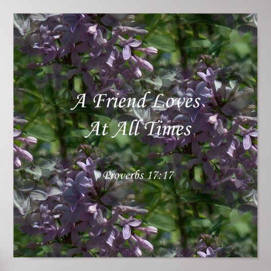 proverbs17-17 ~ Lilacs Poster (Voorkant)
