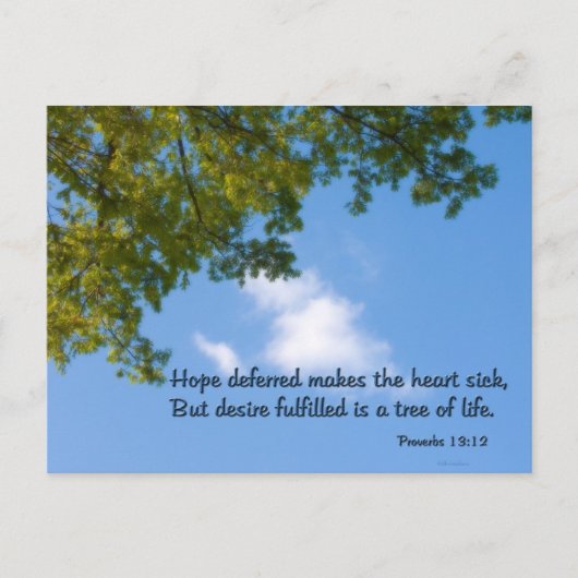 Proverbs 13:12 Hope deferred maakt het hart ziek Briefkaart (Voorkant)