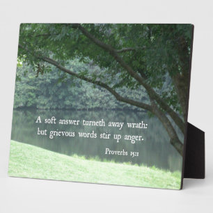 Proverbs 15:1 Een zachte antwoordkalnetje verderop Fotoplaat