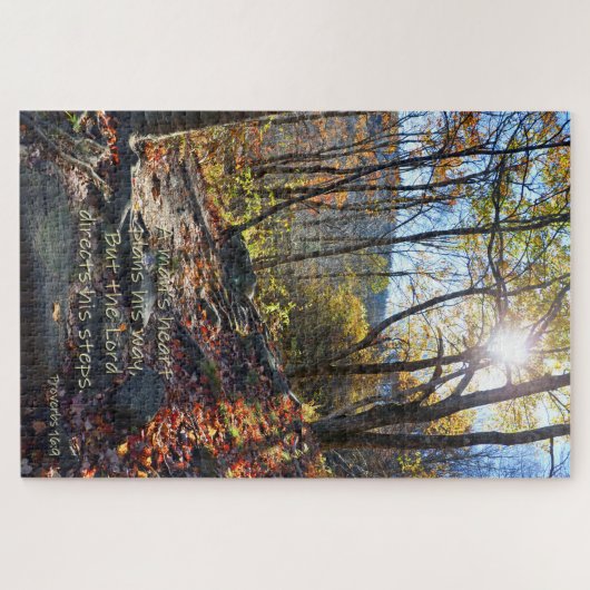 Proverbs 16:9 legpuzzel (Horizontaal)