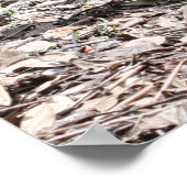 Proverbs 18:21 Afdrukken van scripts Poster (Hoek)