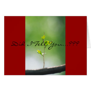 Proverbs 18:21 - Liefde