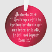 PROVERBS 22:6 ORNAMENT (voorkant)