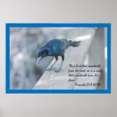 Proverbs 27:8 Poster voor scripts (Voorkant)