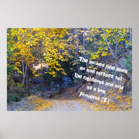 Proverbs 28:1 poster (Voorkant)