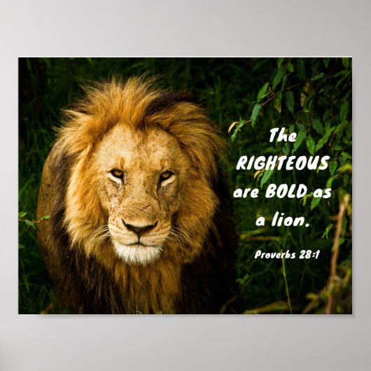 Proverbs 28:1 Righteous zijn gebold als een leeuwb Poster (Voorkant)