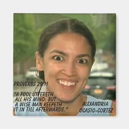 PROVERBS 29:11 MAGNEET