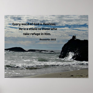 Proverbs 30:5 Elk woord van God is foutloos... Poster