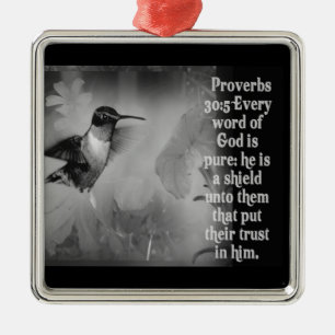 PROVERBS 30:5 ORNAMENGOD IS EEN SCHIELD METALEN ORNAMENT