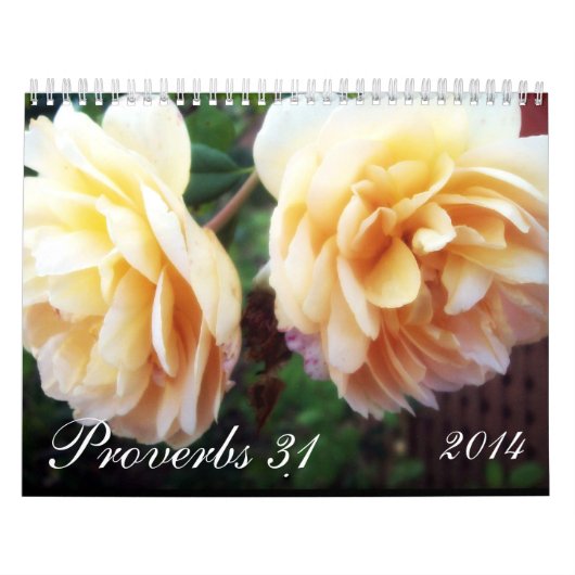 Proverbs 31 kalender (Hoes)