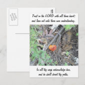 Proverbs 3:5-6 briefkaart (Voorkant / Achterkant)