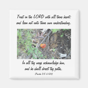 Proverbs 3:5-6 magneet