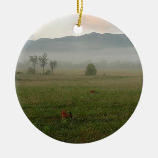 Proverbs 3:5-6 Ornament (Voorkant)