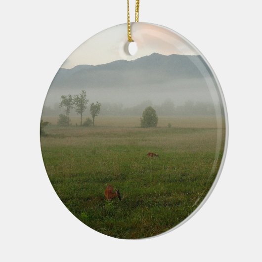 Proverbs 3:5-6 Ornament (Links)