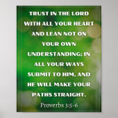 Proverbs 3:5-6 poster (Voorkant)