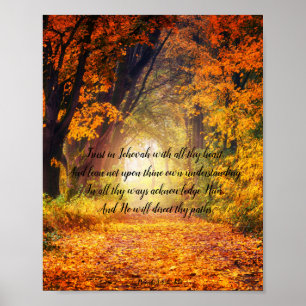Proverbs 3: 5-6 poster