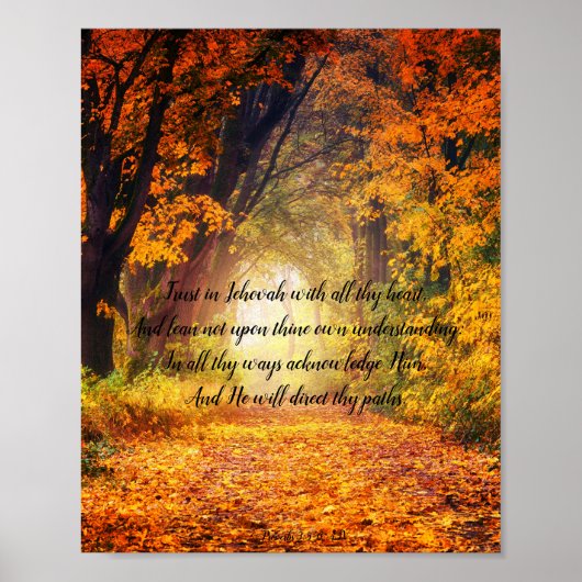 Proverbs 3: 5-6 poster (Voorkant)