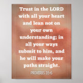 Proverbs 3:5-6 poster (Voorkant)