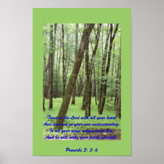 Proverbs 3: 5-6 poster met prachtige groene bomen