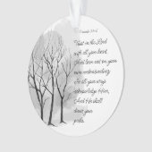 Proverbs 3:5-6 Trust in the Lord (devant)