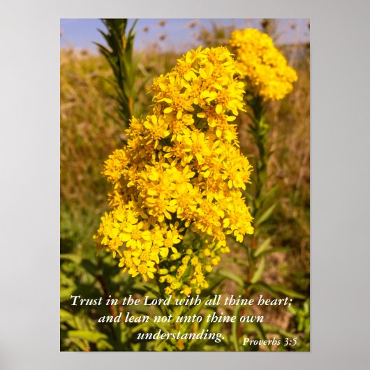 Proverbs 3:5 Bijbel poster (Voorkant)