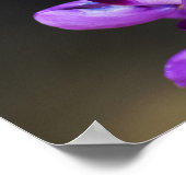 Proverbs 4:23 poster (Hoek)