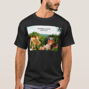PROVIDENCE CANYON - Lumpkin, Georgia T-shirt