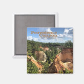 Providence Canyon State Park, Georgia Magneet (Voorkant / Achterkant)