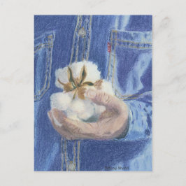 Provider Post Card Briefkaart