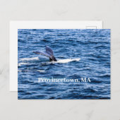 Provincetown Briefkaart (Voorkant / Achterkant)