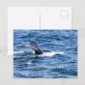 Provincetown Briefkaart (Voorkant / Achterkant)