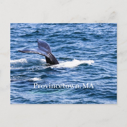 Provincetown Briefkaart (Voorkant)