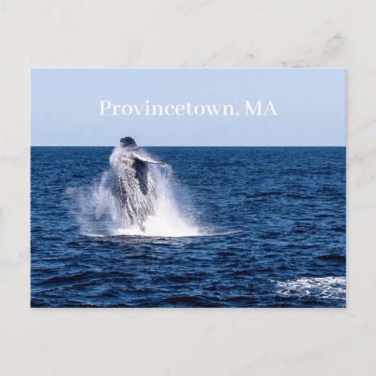 Provincetown Briefkaart (Voorkant)