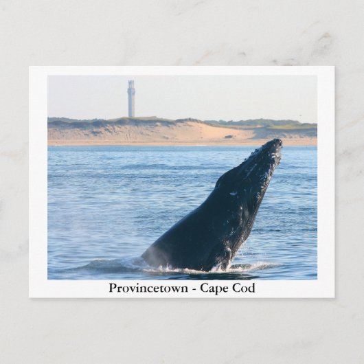 Provincetown - Cape Cod briefkaart (Voorkant)