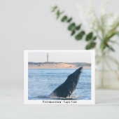 Provincetown - Cape Cod carte postale (Debout devant)