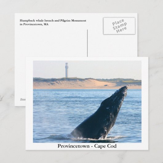Provincetown - Cape Cod carte postale (Devant / Derrière)