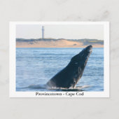 Provincetown - Cape Cod carte postale (Devant)
