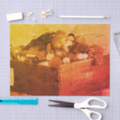 Provincie Fair Blue Ribbon Fruit ontkoppeling Tissuepapier (Craft)