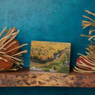 Provinciepark Porcupine Mountains Wilderness Fotoplaat