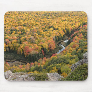 Provinciepark Porcupine Mountains Wilderness Muismat
