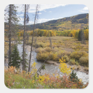 Provo-rivier en espbeomen vierkante sticker