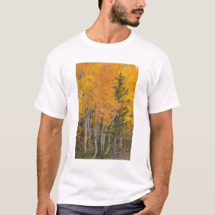 Provo-rivier en espbeuken t-shirt