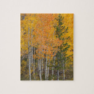 Provo-rivier en espelbomen legpuzzel