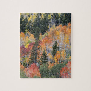 Provo-rivier en espelbomen legpuzzel