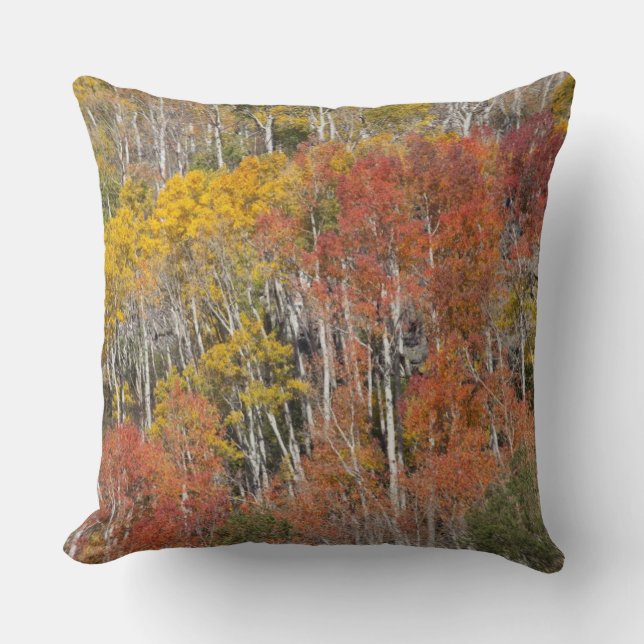 Provo rivier- en espenbomen kussen (Voorkant)